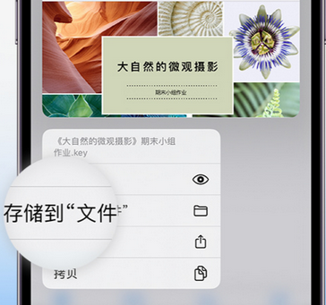 云溪apple维修中心分享iPhone文件应用中存储和找到下载文件