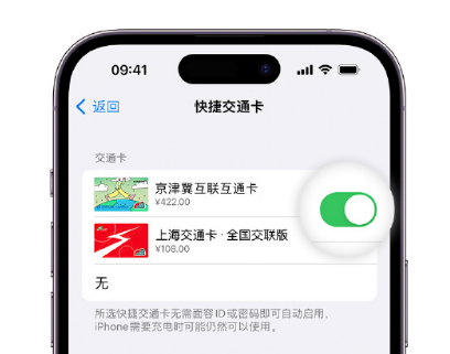 云溪apple维修点分享iPhone上更换Apple Pay快捷交通卡手绘卡面 