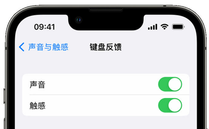 云溪苹果手机维修分享iPhone 14触感键盘使用方法 