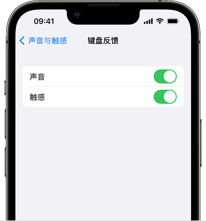 云溪苹果14维修店分享如何在 iPhone 14 机型中使用触感键盘 