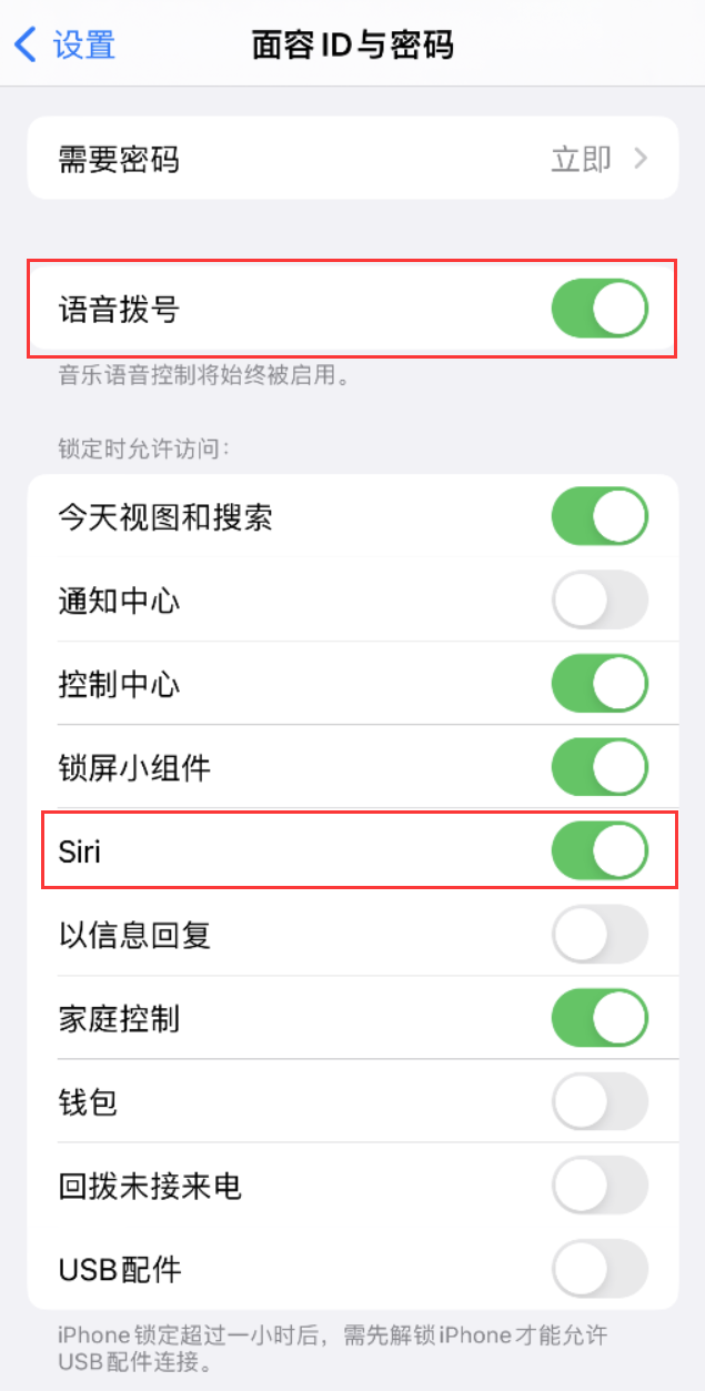 云溪苹果维修网点分享不解锁 iPhone 的情况下通过 Siri 拨打电话的方法 