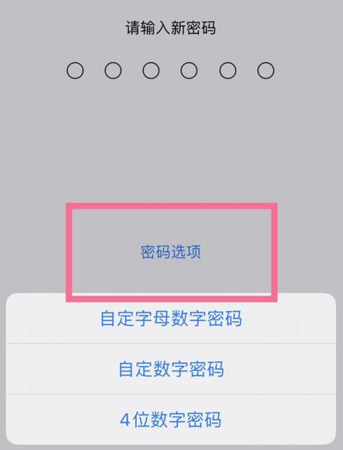 云溪苹果14维修分享iPhone 14plus设置密码的方法 