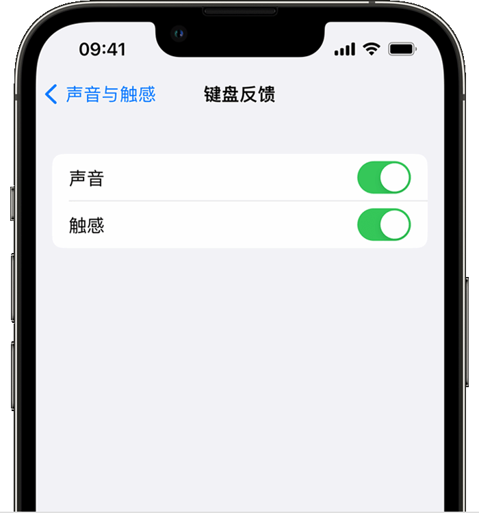 云溪苹果14维修分享iPhone 14 系列机型如何开启键盘声音或触感反馈 