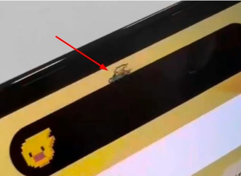 云溪苹果14维修分享iPhone 14 Pro Max灵动岛怎么养宠物 