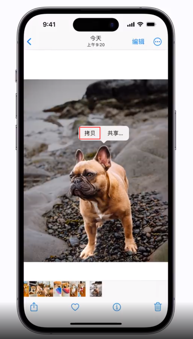 云溪苹果手机维修分享 iOS 16 自带一键抠图功能 