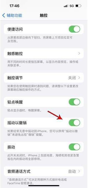 云溪苹果手机维修分享iPhone手机如何设置摇一摇删除文字 