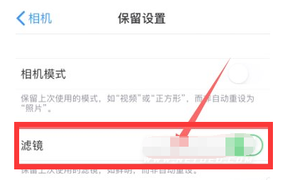 云溪苹果13维修分享iPhone13拍照有绿点是怎么回事 